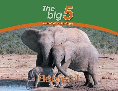 Cover for Megan Emmett · Elephant: The Big 5 and other wild animals - Big 5 and Other Wild Animals (Paperback Book) (2018)