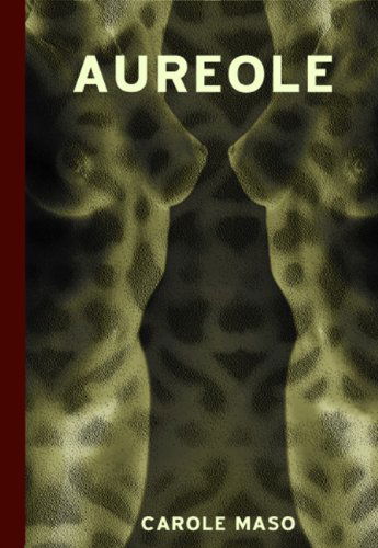 Cover for Carole Maso · Aureole: An Erotic Sequence (Paperback Book) [F 1st Printing edition] (2003)