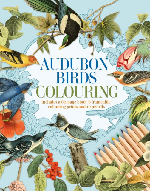 Cover for Peter Gray · Audubon Birds Colouring Kit: Includes a 64-Page Book, 6 Frameable Colouring Prints and 10 Pencils - Arcturus Colouring Kits (Taschenbuch) (2025)