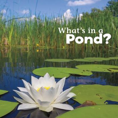 Cover for Martha E H Rustad · What's in a Pond? (Hardcover Book) (2015)