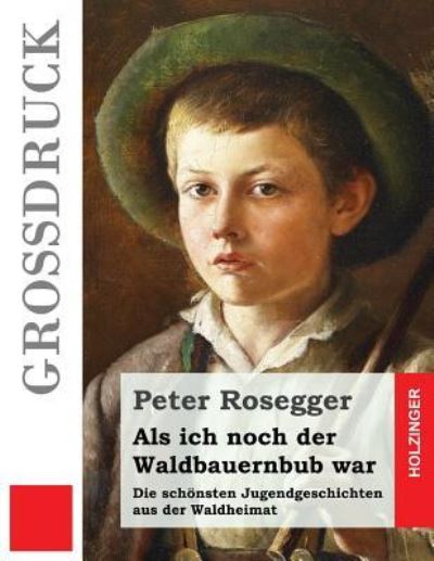 Cover for Peter Rosegger · Als ich noch der Waldbauernbub war (Grossdruck) (Paperback Book) (2016)