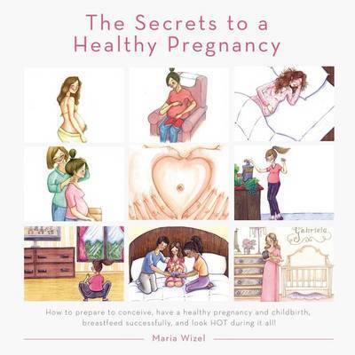 Cover for Maria Wizel · The Secrets to a Healthy Pregnancy (Paperback Book) (2014)