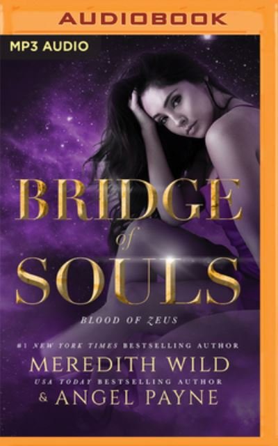 Bridge of Souls - Meredith Wild - Musik - Brilliance Audio - 9781713645108 - 13. december 2022