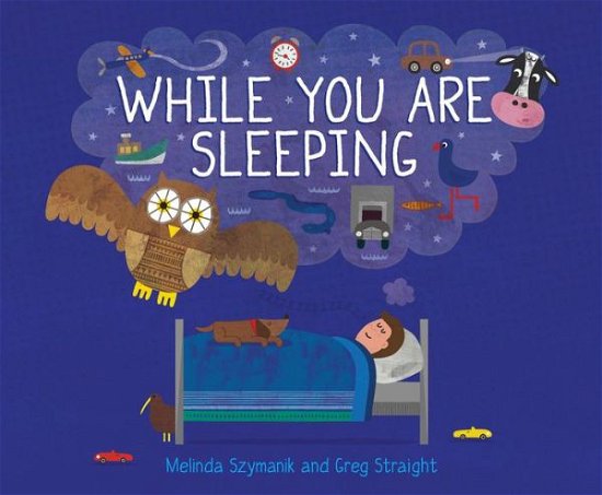 Cover for While You Are Sleeping (Book) (2017)