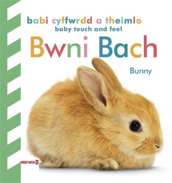 Cover for Dk · Babi Cyffwrdd a Theimlo: Bwni Bach / Baby Touch and Feel: Bunny: Bunny (Hardcover Book) [Bilingual edition] (2023)