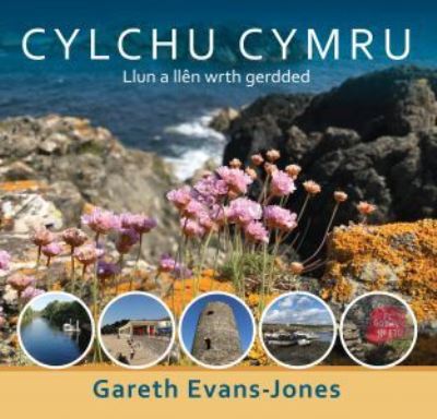 Cover for Gareth Evans-Jones · Cylchu Cymru (Paperback Book) (2022)