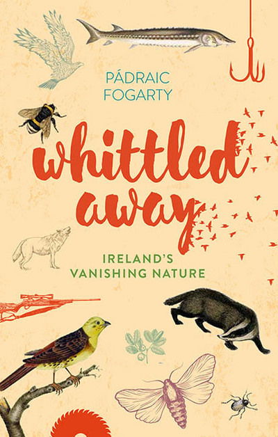 Cover for Padraic Fogarty · Whittled Away (Hardcover Book) (2017)