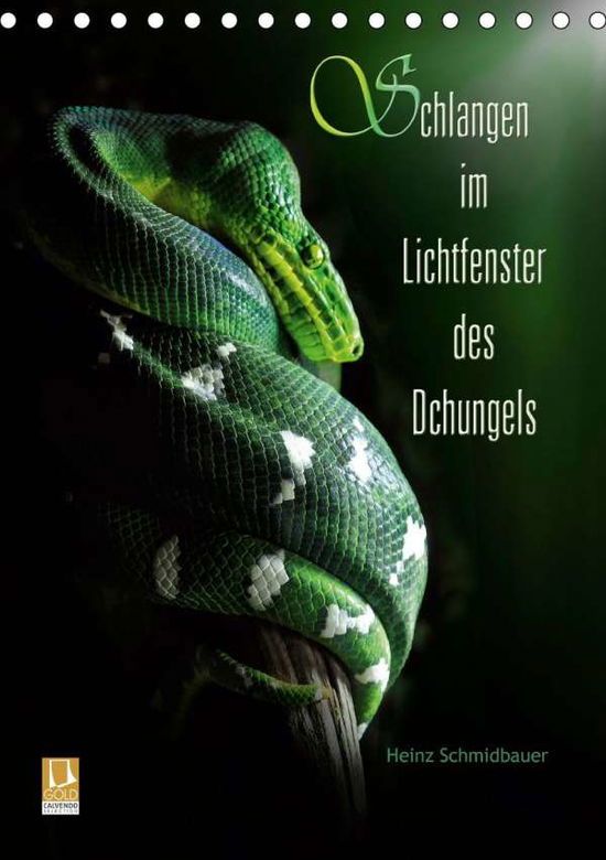 Cover for Schmidbauer · Schlangen im Lichtfenster d (Buch)