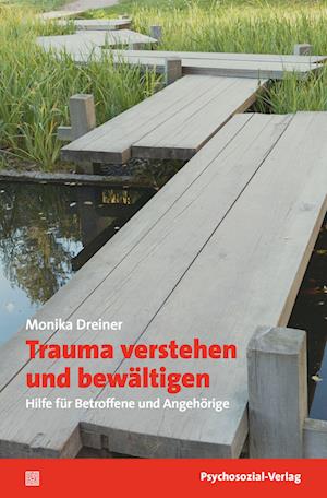 Cover for Dreiner · Trauma verstehen und bewältigen (Bok)