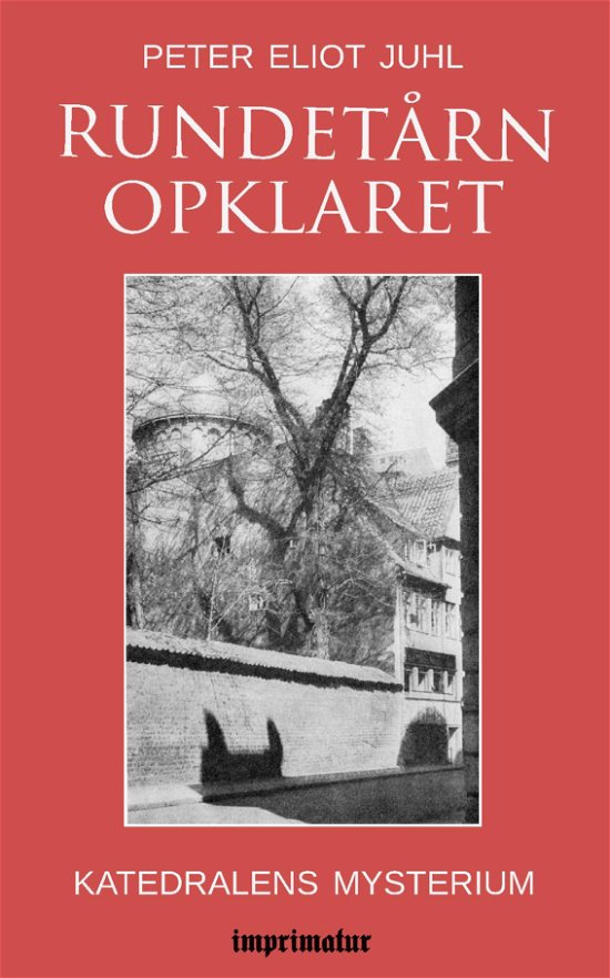 Cover for Peter Eliot Juhl · Rundetårn opklaret - katedralens mysterim (Paperback Book) (2022)