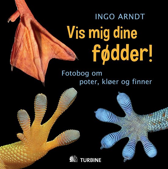 Cover for Ingo Arndt · Vis mig dine fødder! (Innbunden bok) [1. utgave] [Indbundet] (2012)