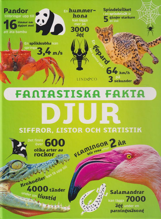 Cover for Richard Mead · Fantastiska fakta. Djur : siffror, listor och statistik (Gebundesens Buch) (2024)