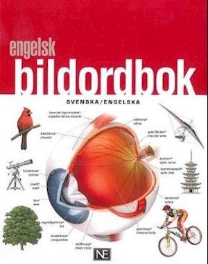 Cover for Engelsk bildordbok svenska / engelska (Book) (2017)