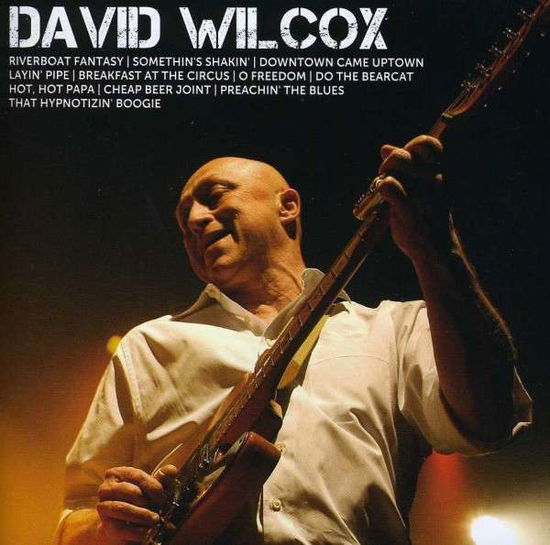 Cover for Wilcox David · Icon (CD) (2013)