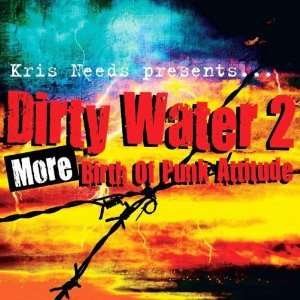 Dirty Water 2: More Birth of Punk Attitude / Var - Dirty Water 2: More Birth of Punk Attitude / Var - Musiikki - YESTERYEAR - 5055311080109 - tiistai 12. huhtikuuta 2011