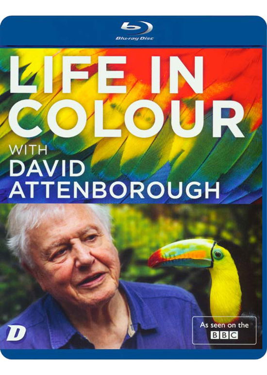 Cover for Life in Colour  D Attenborough BD · Life in Colour with David Attenborough (Blu-Ray) (2021)