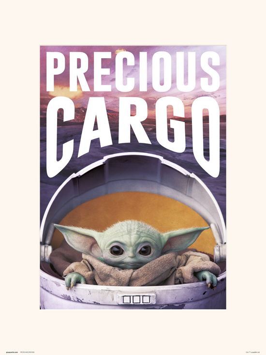 THE MANDALORIAN - Precious Cargo - Collector Print - The Mandalorian - Merchandise -  - 8435497251109 - 