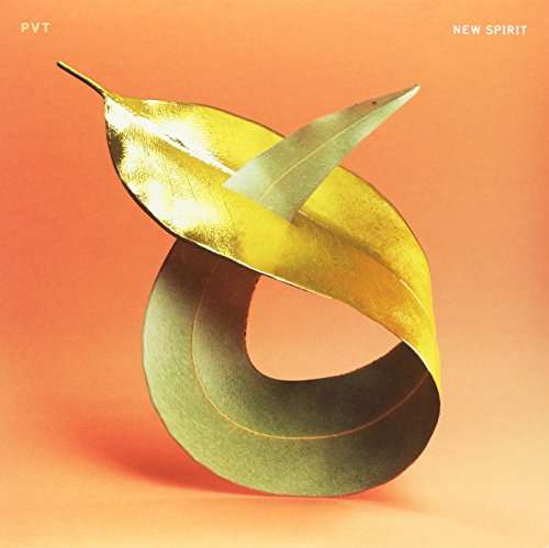 Cover for Pvt (Pivot) · New Spirit (LP) (2017)