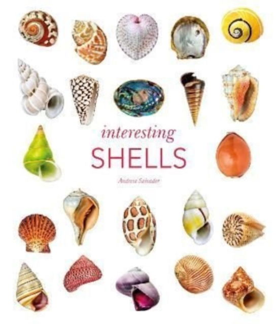 Interesting Shells - Andreia Salvador - Books - The Natural History Museum - 9780565095109 - February 24, 2022