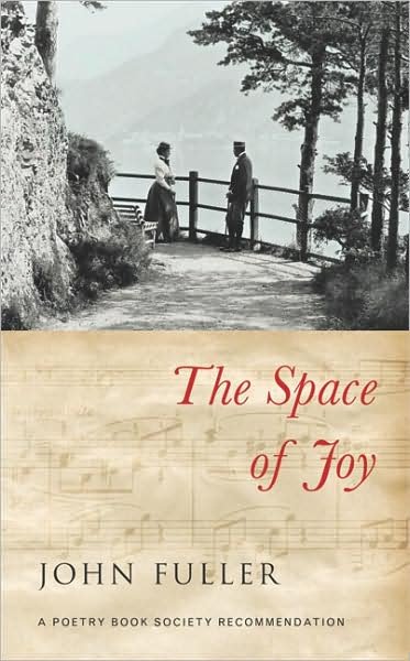 Cover for John Fuller · The Space of Joy (Paperback Book) (2006)