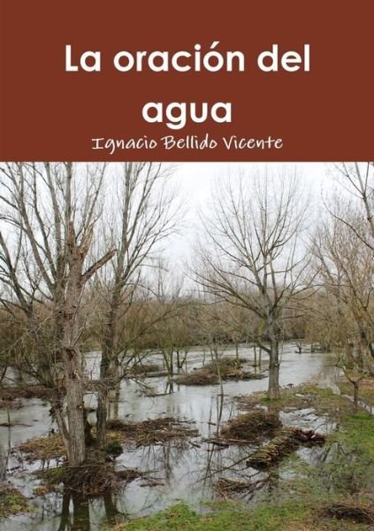 Cover for Ignacio Bellido Vicente · La Oracion Del Agua (Paperback Bog) (2015)
