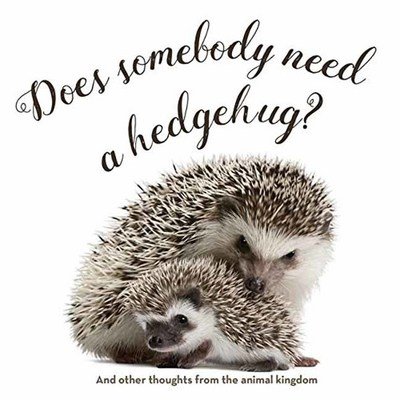 Cover for Smith Gibbs · Does Somebody Need a Hedgehug? (Hardcover Book) (2017)