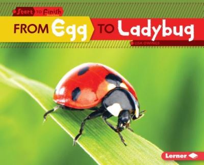 Cover for Lisa Owings · From Egg to Ladybug (Book) (2016)