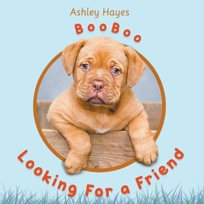 Cover for Ashley Hayes · Booboo Looking for a Friend (Paperback Book) (2020)