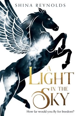 Light in the Sky - Shina Reynolds - Books - Wink Road Press - 9781733451109 - November 9, 2021