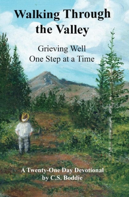 Cover for C S Boddie · Walking Through the Valley: Grieving Well One Step at a Time (Paperback Book) (2019)