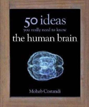 Cover for Moheb Costandi · 50 Human Brain Ideas You Really Need to Know - 50 Ideas You Really Need to Know series (Hardcover Book) (2013)