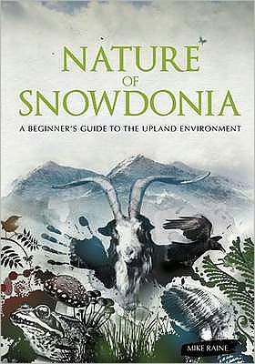 Nature of Snowdonia - Mike Raine - Książki - Pesda Press - 9781906095109 - 15 października 2009