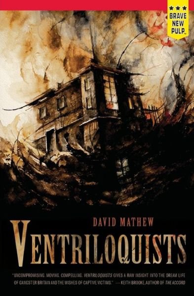 Cover for David Mathew · Ventriloquists (Paperback Book) (2014)