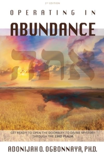 Cover for Adonijah O. Ogbonnaya · Operating in Abundance (Book) (2022)