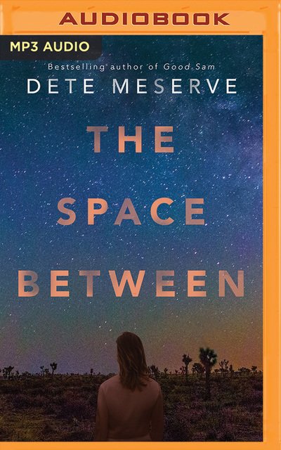 Cover for Dete Meserve · The Space Between (CD) (2018)