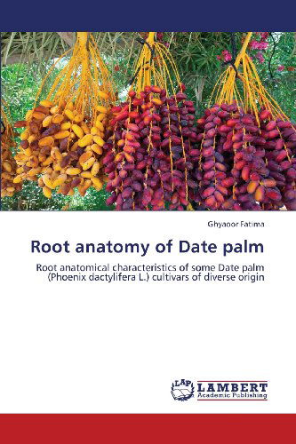 Cover for Ghyaoor Fatima · Root Anatomy of Date Palm: Root Anatomical Characteristics of Some Date Palm (Phoenix Dactylifera L.) Cultivars of Diverse Origin (Paperback Book) (2013)