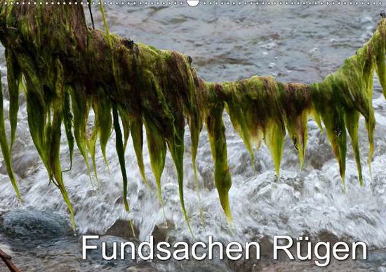 Cover for Zinn · Fundsachen Rügen (Wandkalender 202 (Buch)