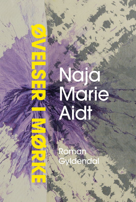 Cover for Naja Marie Aidt · Øvelser i mørke (Indbundet Bog) [1. udgave] (2024)