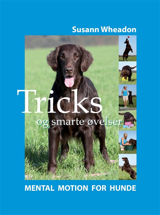 Susann Wheadon · Tricks smarte øvelser (Bog) [1. udgave]