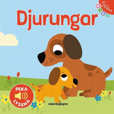 Cover for Marion Billet · Nyfikna öron: Nyfikna öron - Djurungar Peka-lyssna! (Board book) (2021)