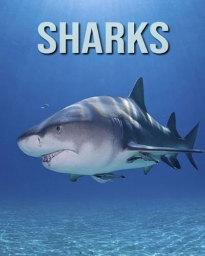 Cover for Dan Anthony · Sharks (Paperback Book) (2020)