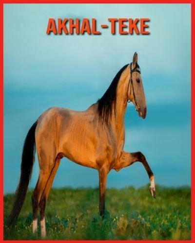 Cover for Linda Davis · Akhal-Teke (Paperback Book) (2021)