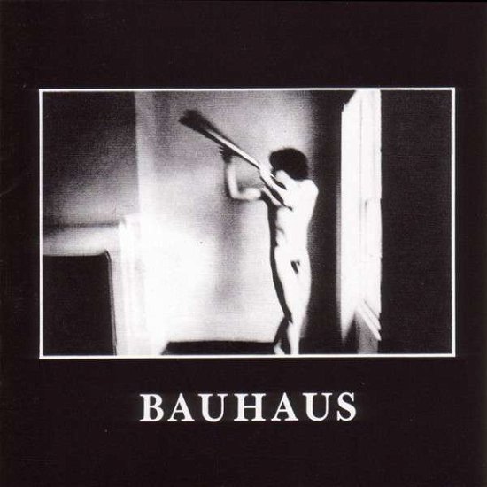 Cover for Bauhaus · In The Flat Field (LP) (2013)