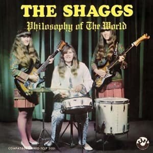 Cover for The Shaggs · Philosophy of the World (LP) [Remastered edition] (2016)