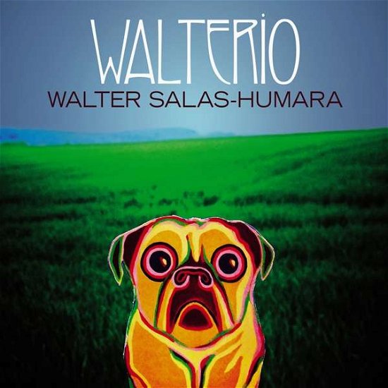 Cover for Walter Salas-Humara · Walterio (LP) (2018)