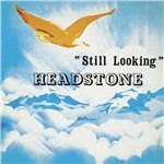 Cover for Headstone · Still Looking (LP) (2009)