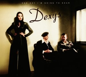 Cover for Dexys · One Day I'm Going to Soar (LP) (2012)