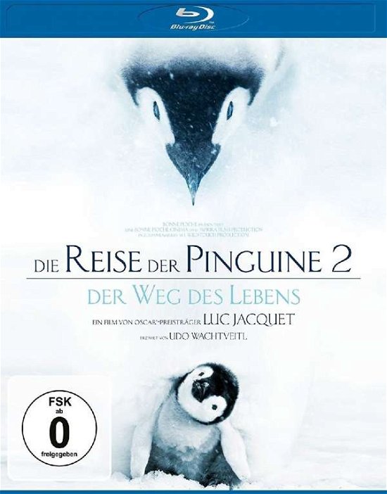Cover for Die Reise Der Pinguine 2 BD (Blu-ray) (2018)