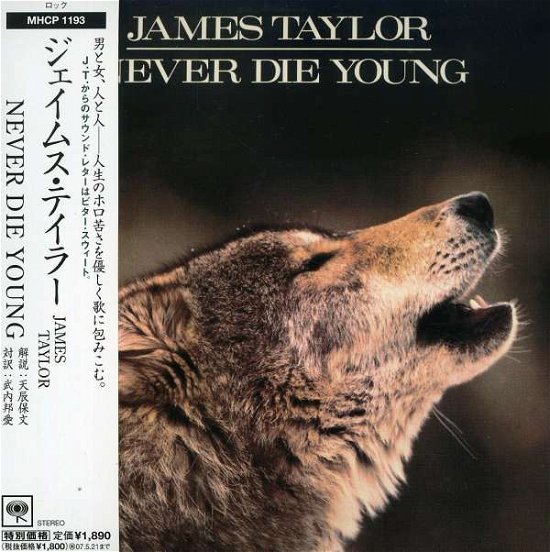 Never Die Young - James Taylor - Música - SONY MUSIC - 4582192931110 - 27 de novembro de 2006
