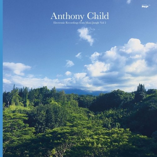 Cover for Anthony Child · Electronic Recordings from Maui Jungle 2 (CD) (2016)